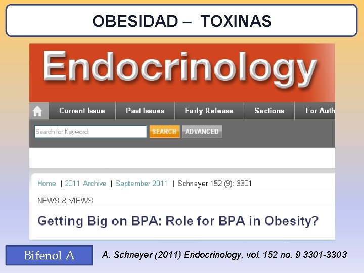 OBESIDAD – TOXINAS Bifenol A A. Schneyer (2011) Endocrinology, vol. 152 no. 9 3301