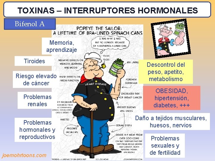 TOXINAS – INTERRUPTORES HORMONALES Bifenol A Memoria, aprendizaje Tiroides Riesgo elevado de cáncer Problemas