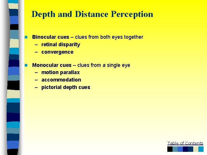 Depth and Distance Perception n Binocular cues – clues from both eyes together –