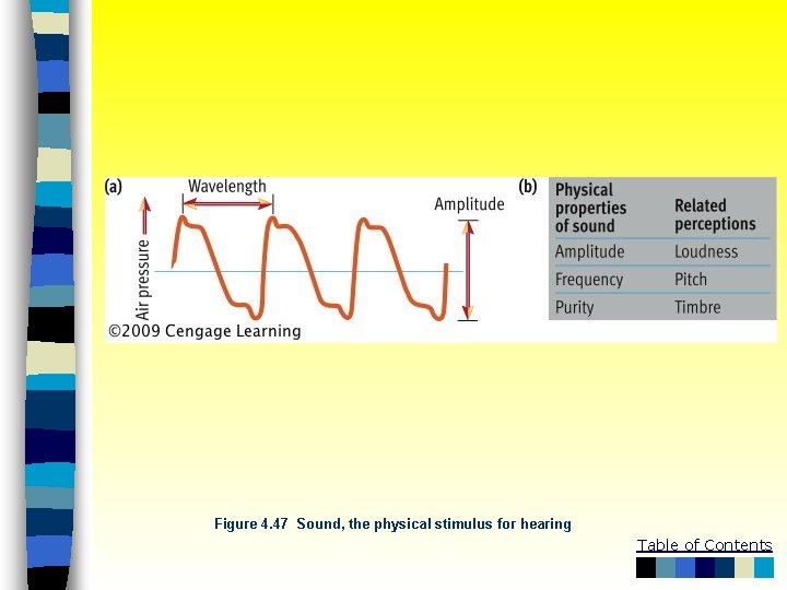 Figure 4. 47 Sound, the physical stimulus for hearing Table of Contents 