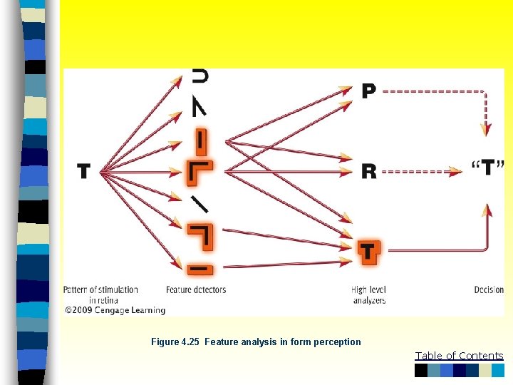 Figure 4. 25 Feature analysis in form perception Table of Contents 