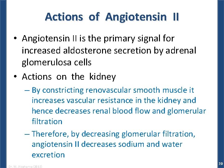 Actions of Angiotensin II • Angiotensin II is the primary signal for increased aldosterone