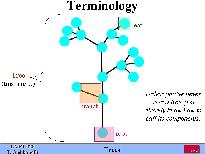 Terminology leaf Tree (trust me…) Unless you’ve never seen a tree, you already know Terminology leaf Tree (trust me…) Unless you’ve never seen a tree, you already know