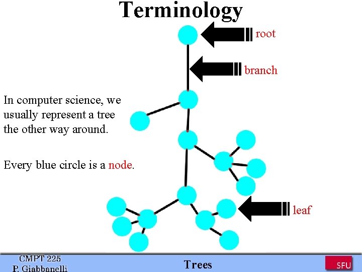Terminology root branch In computer science, we usually represent a tree the other way Terminology root branch In computer science, we usually represent a tree the other way