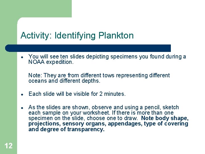 Activity: Identifying Plankton ● You will see ten slides depicting specimens you found during