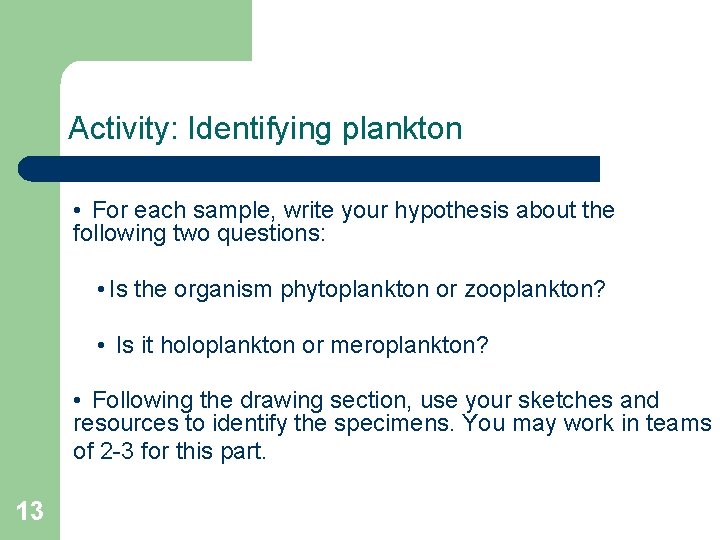 Activity: Identifying plankton • For each sample, write your hypothesis about the following two