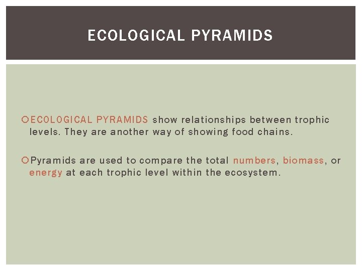 ECOLOGICAL PYRAMIDS show relationships between trophic levels. They are another way of showing food