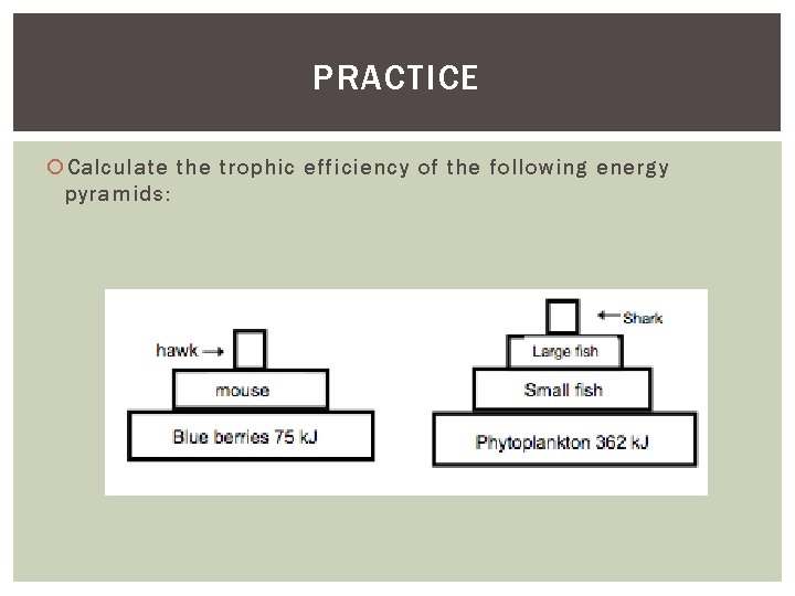 PRACTICE Calculate the trophic efficiency of the following energy pyramids: 