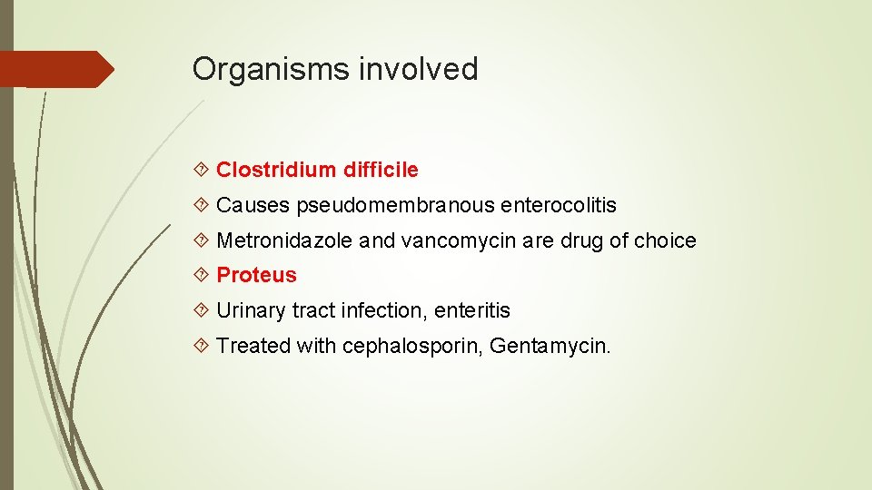 Organisms involved Clostridium difficile Causes pseudomembranous enterocolitis Metronidazole and vancomycin are drug of choice