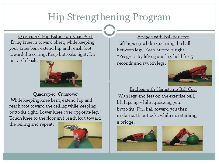 Hip Strengthening Program Quadruped Hip Extension Knee Bent Bring knee in toward chest, while