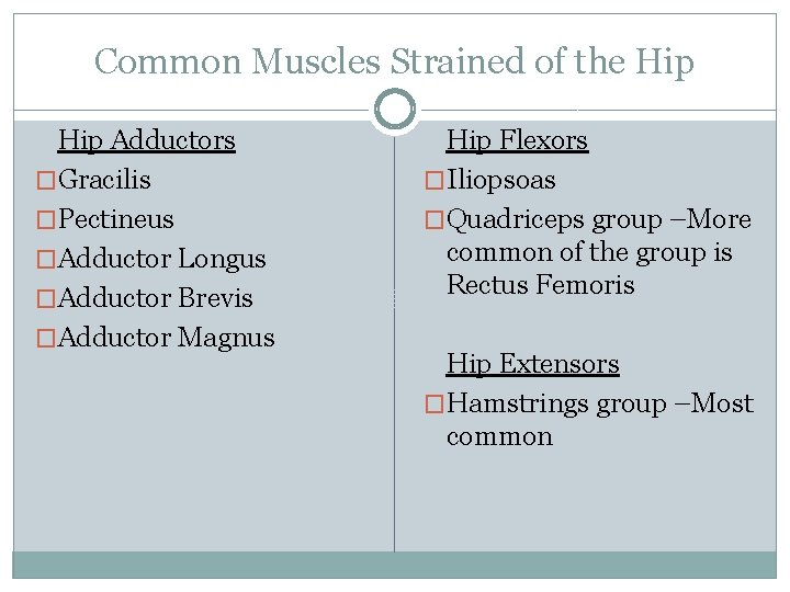Common Muscles Strained of the Hip Adductors �Gracilis �Pectineus �Adductor Longus �Adductor Brevis �Adductor