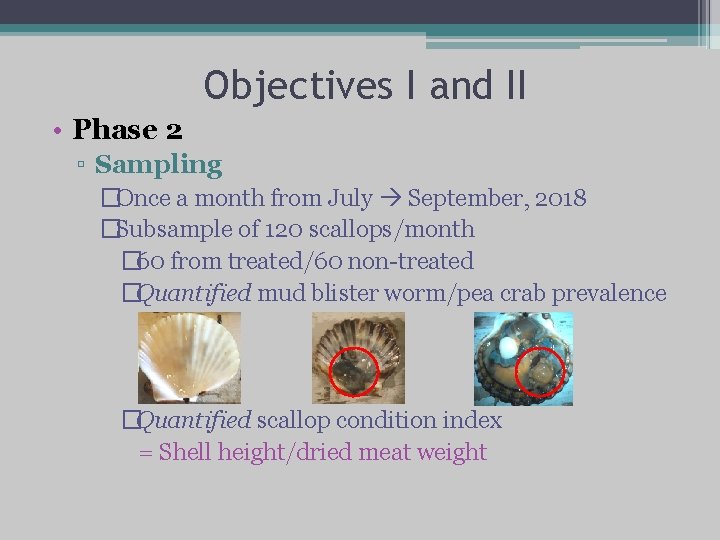 Objectives I and II • Phase 2 ▫ Sampling �Once a month from July