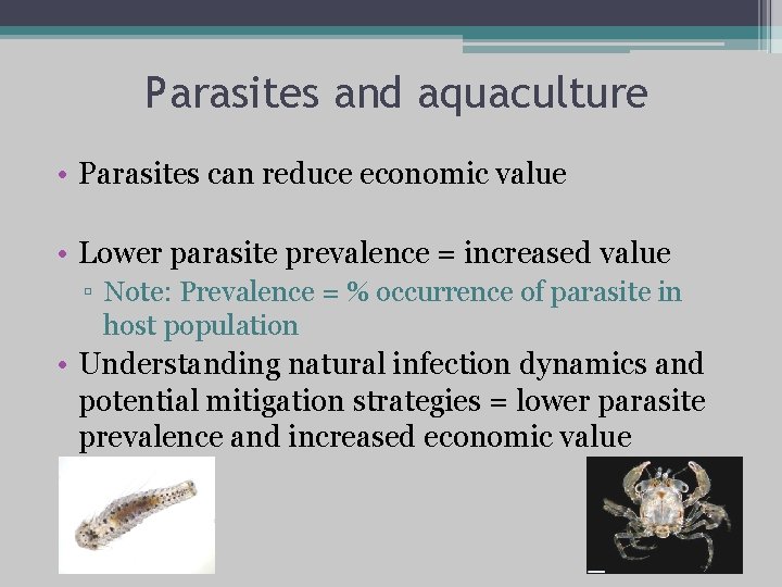 Parasites and aquaculture • Parasites can reduce economic value • Lower parasite prevalence =