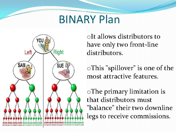BINARY Plan o. It allows distributors to have only two front-line distributors. o. This