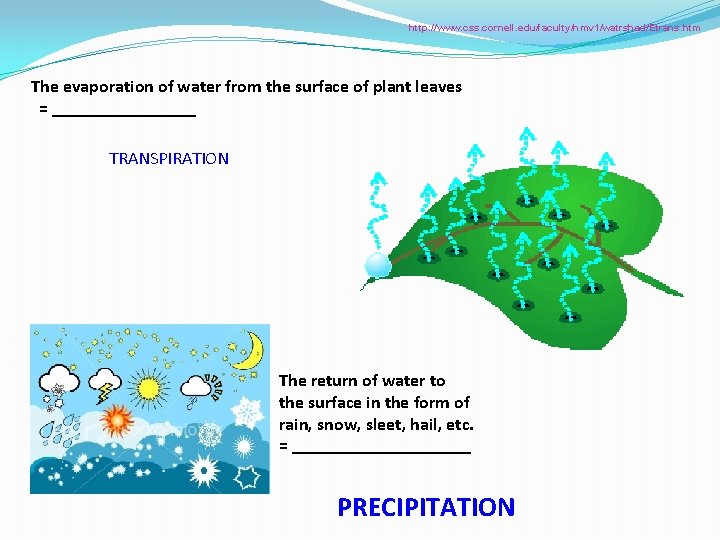 http: //www. css. cornell. edu/faculty/hmv 1/watrshed/Etrans. htm The evaporation of water from the surface