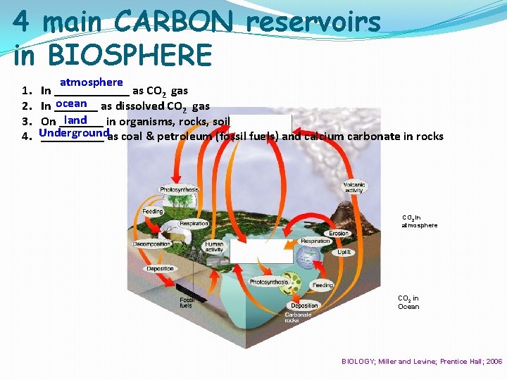 4 main CARBON reservoirs in BIOSPHERE 1. 2. 3. 4. atmosphere In ______ as