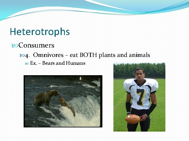 Heterotrophs Consumers 4. Omnivores – eat BOTH plants and animals Ex. – Bears and