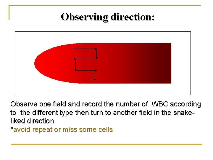 Observing direction: Observe one field and record the number of WBC according to the