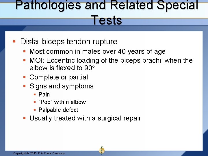 Pathologies and Related Special Tests § Distal biceps tendon rupture § Most common in