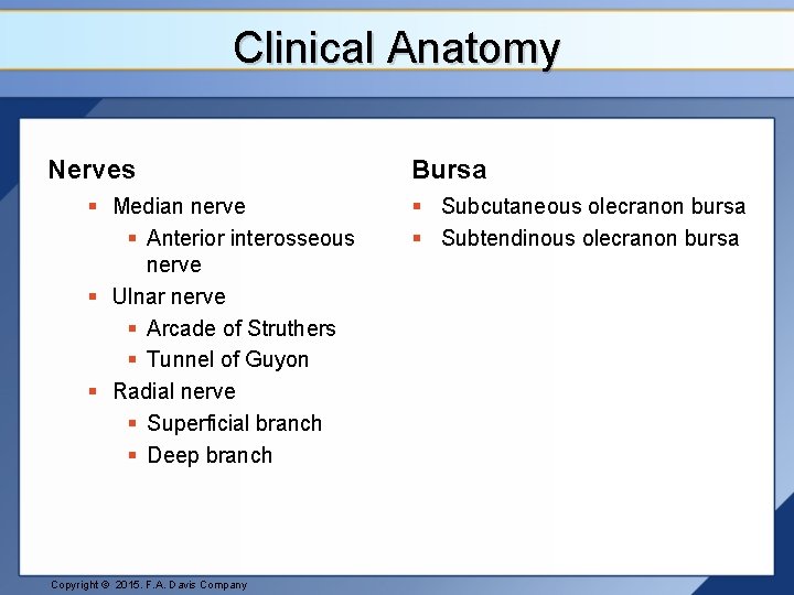 Clinical Anatomy Nerves § Median nerve § Anterior interosseous nerve § Ulnar nerve §