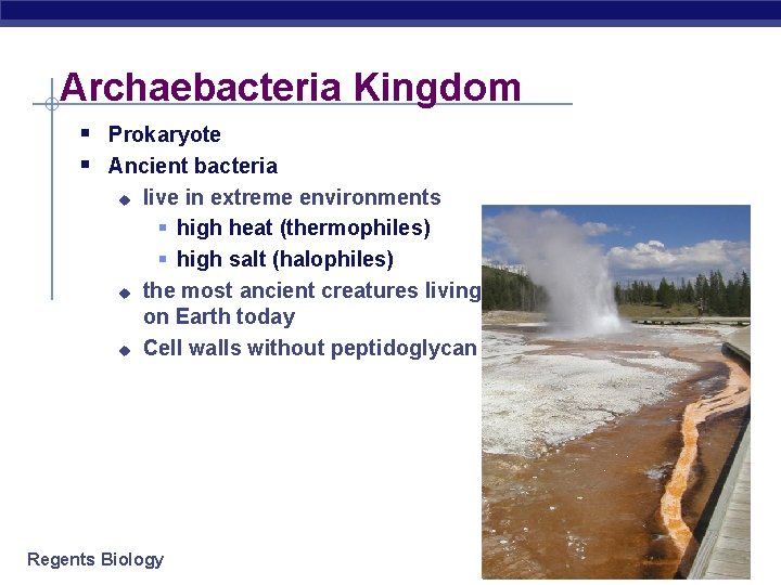 Archaebacteria Kingdom § Prokaryote § Ancient bacteria u u u live in extreme environments