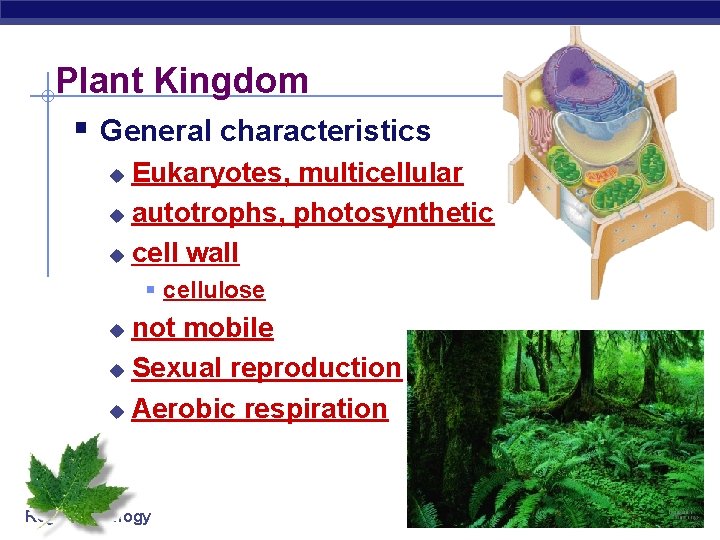 Plant Kingdom § General characteristics Eukaryotes, multicellular u autotrophs, photosynthetic u cell wall u