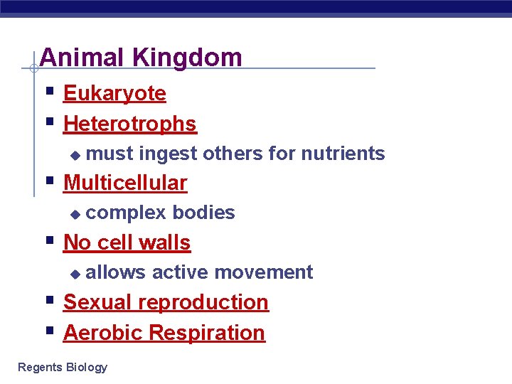 Animal Kingdom § Eukaryote § Heterotrophs u must ingest others for nutrients § Multicellular