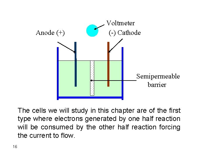 Anode (+) Voltmeter (-) Cathode Semipermeable barrier The cells we will study in this