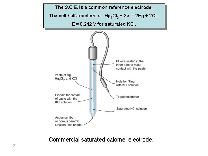 The S. C. E. is a common reference electrode. The cell half-reaction is: Hg