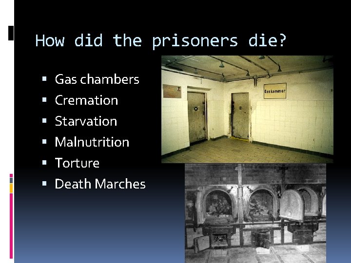 How did the prisoners die? Gas chambers Cremation Starvation Malnutrition Torture Death Marches 