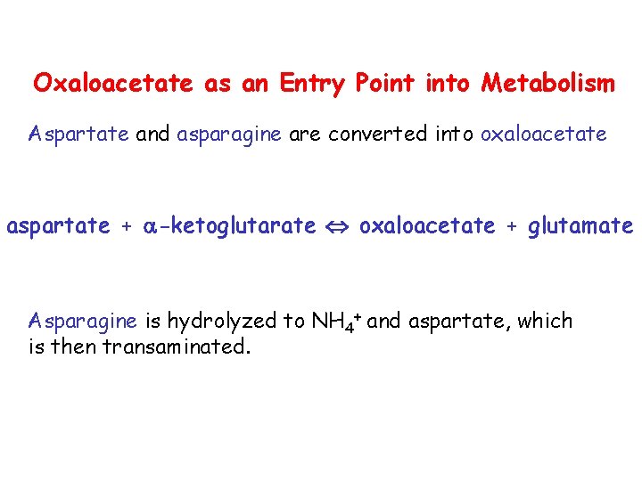 Oxaloacetate as an Entry Point into Metabolism Aspartate and asparagine are converted into oxaloacetate