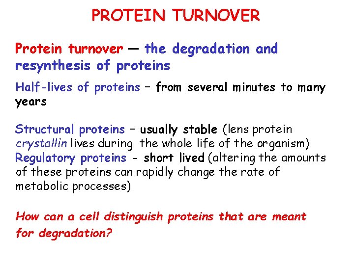 PROTEIN TURNOVER Protein turnover — the degradation and resynthesis of proteins Half-lives of proteins