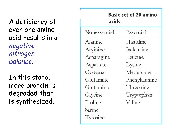A deficiency of even one amino acid results in a negative nitrogen balance. In