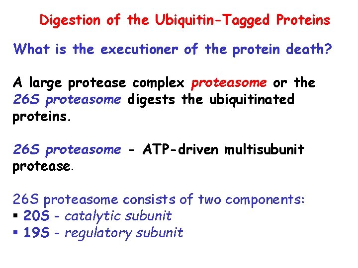 Digestion of the Ubiquitin-Tagged Proteins What is the executioner of the protein death? A