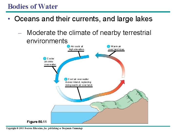 Bodies of Water • Oceans and their currents, and large lakes – Moderate the