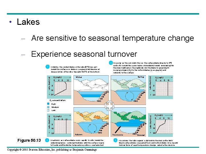  • Lakes – Are sensitive to seasonal temperature change – Experience seasonal turnover