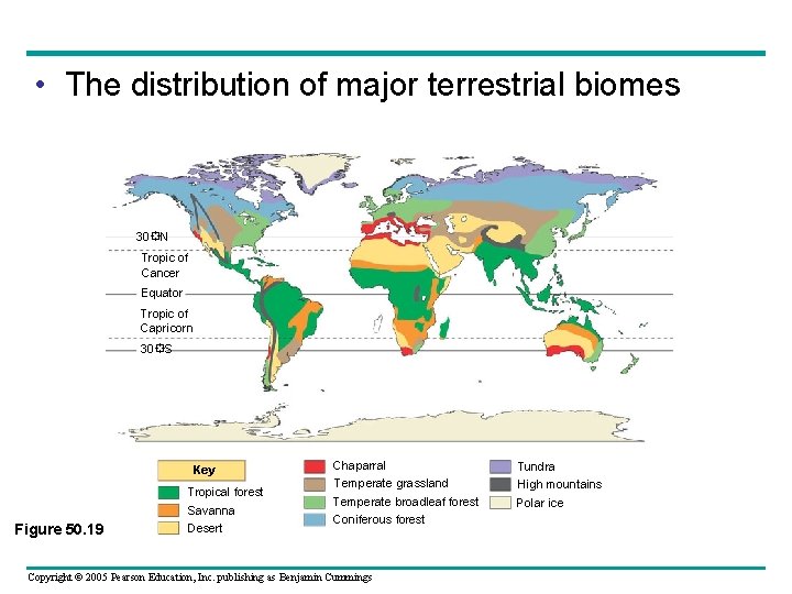  • The distribution of major terrestrial biomes 30 N Tropic of Cancer Equator