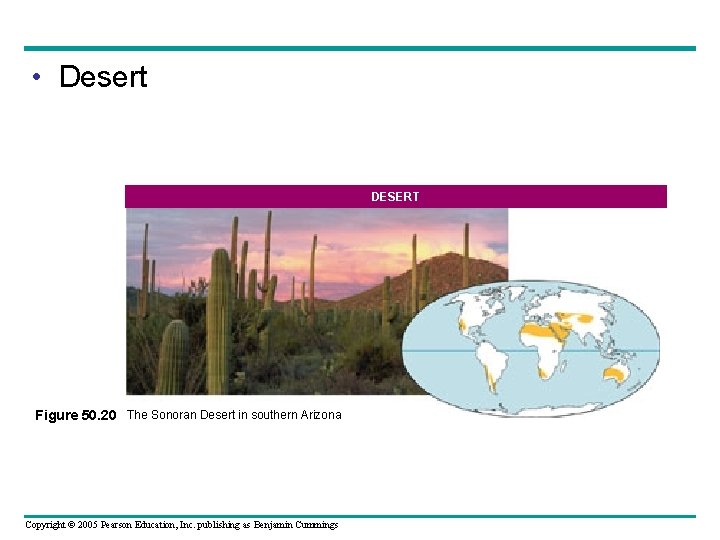  • Desert DESERT Figure 50. 20 The Sonoran Desert in southern Arizona Copyright
