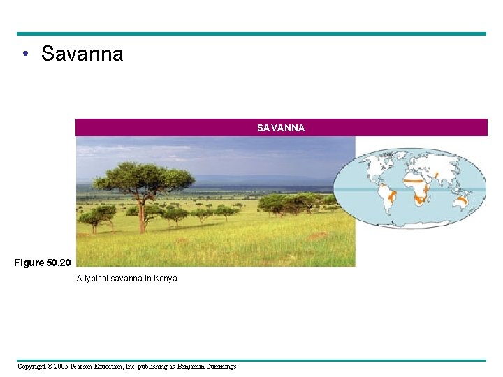  • Savanna SAVANNA Figure 50. 20 A typical savanna in Kenya Copyright ©