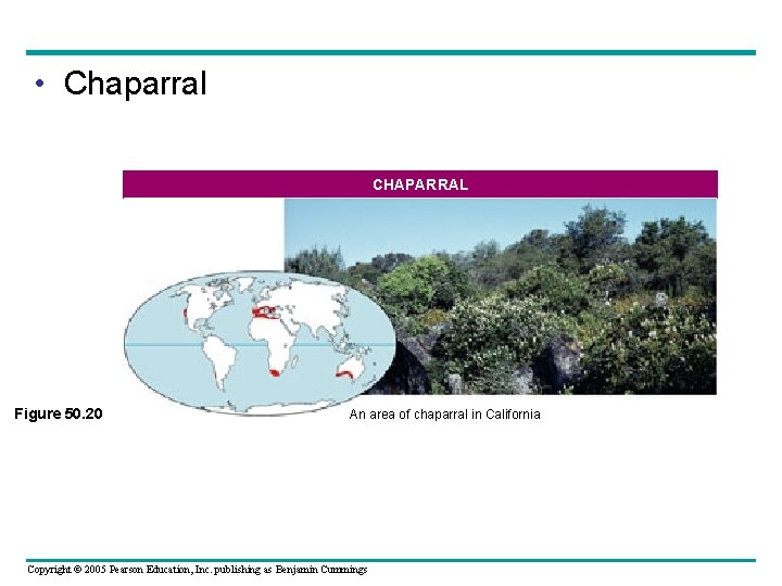  • Chaparral CHAPARRAL Figure 50. 20 An area of chaparral in California Copyright