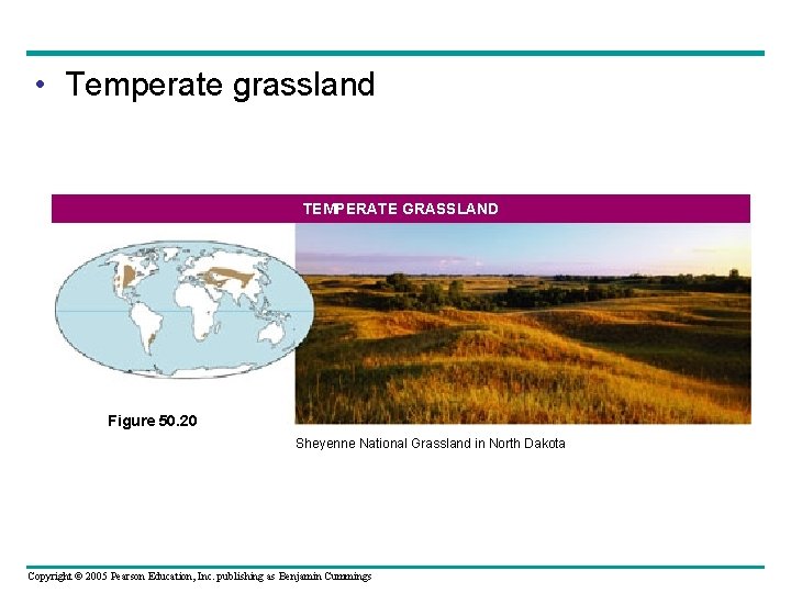  • Temperate grassland TEMPERATE GRASSLAND Figure 50. 20 Sheyenne National Grassland in North