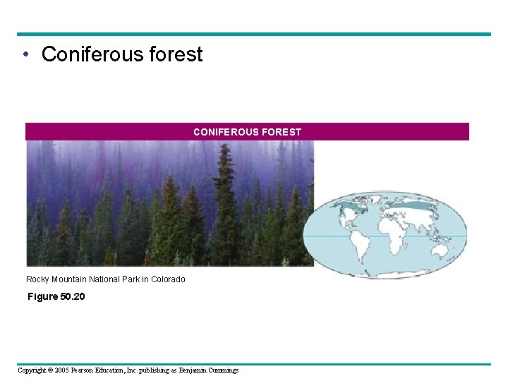  • Coniferous forest CONIFEROUS FOREST Rocky Mountain National Park in Colorado Figure 50.
