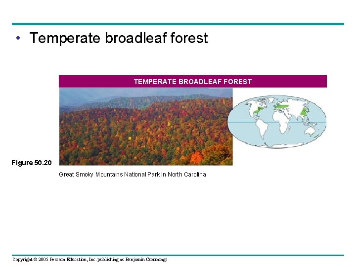  • Temperate broadleaf forest TEMPERATE BROADLEAF FOREST Figure 50. 20 Great Smoky Mountains