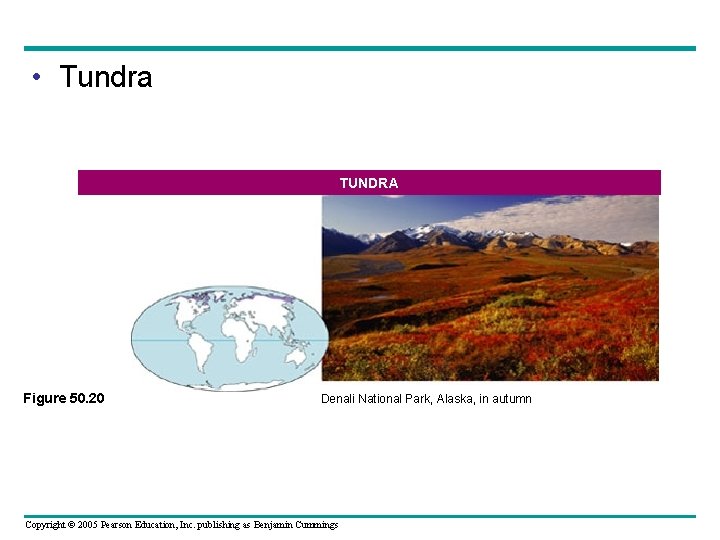  • Tundra TUNDRA Figure 50. 20 Denali National Park, Alaska, in autumn Copyright