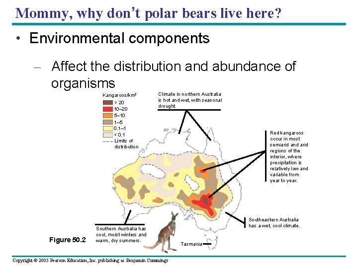 Mommy, why don’t polar bears live here? • Environmental components – Affect the distribution