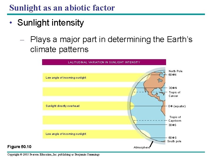Sunlight as an abiotic factor • Sunlight intensity – Plays a major part in
