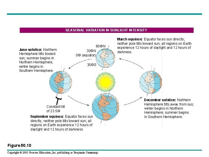 SEASONAL VARIATION IN SUNLIGHT INTENSITY June solstice: Northern Hemisphere tilts toward sun; summer begins