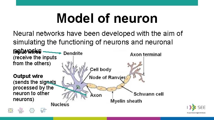 Model of neuron Neural networks have been developed with the aim of simulating the