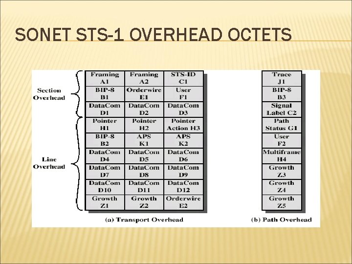 SONET STS-1 OVERHEAD OCTETS 