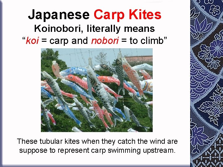 Japanese Carp Kites Koinobori, literally means “koi = carp and nobori = to climb”